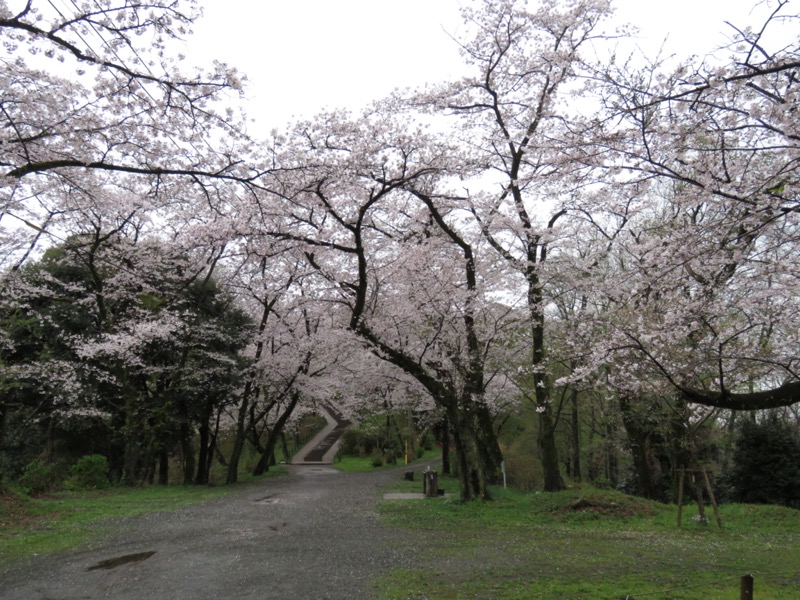 大山〜弘法山