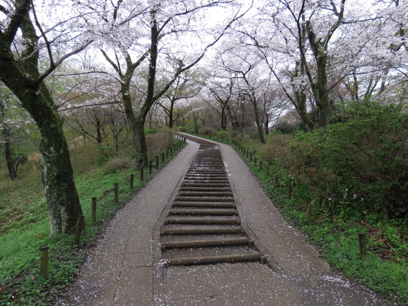 大山〜弘法山