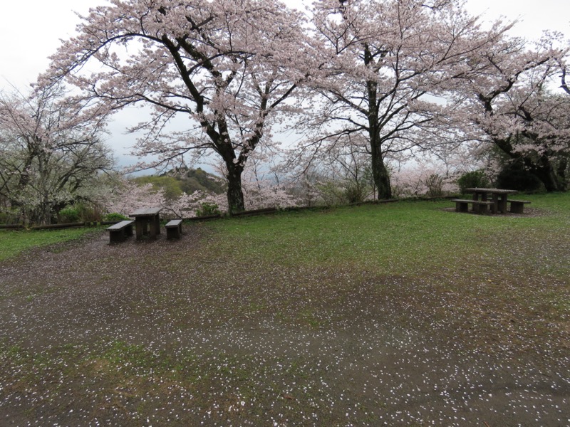 大山〜弘法山