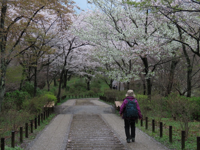 大山〜弘法山