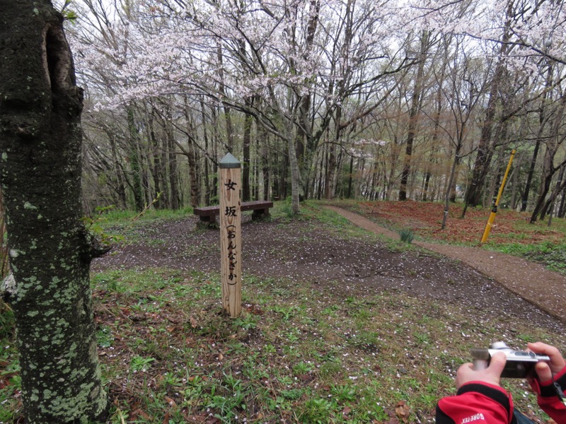 大山〜弘法山