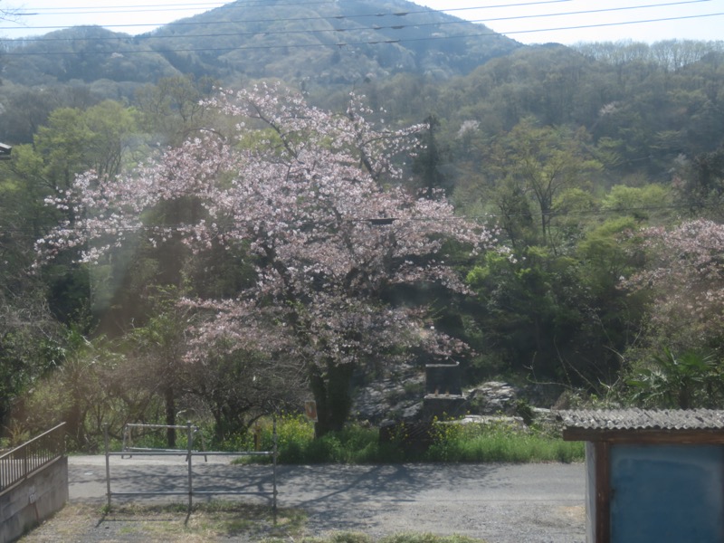 箕山、美の山