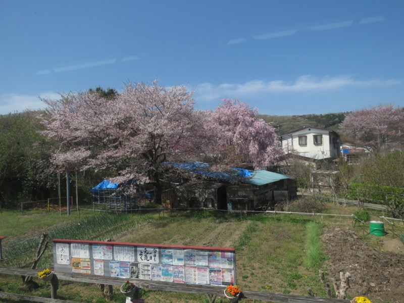 箕山、美の山