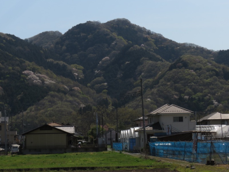 箕山、美の山