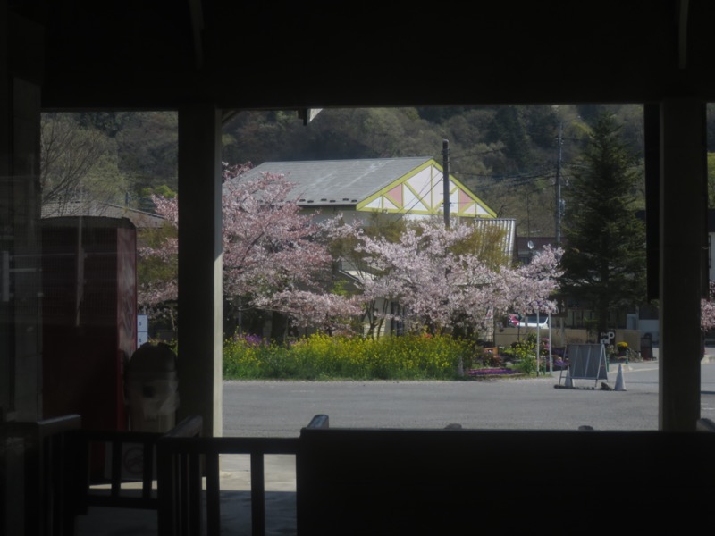 箕山、美の山