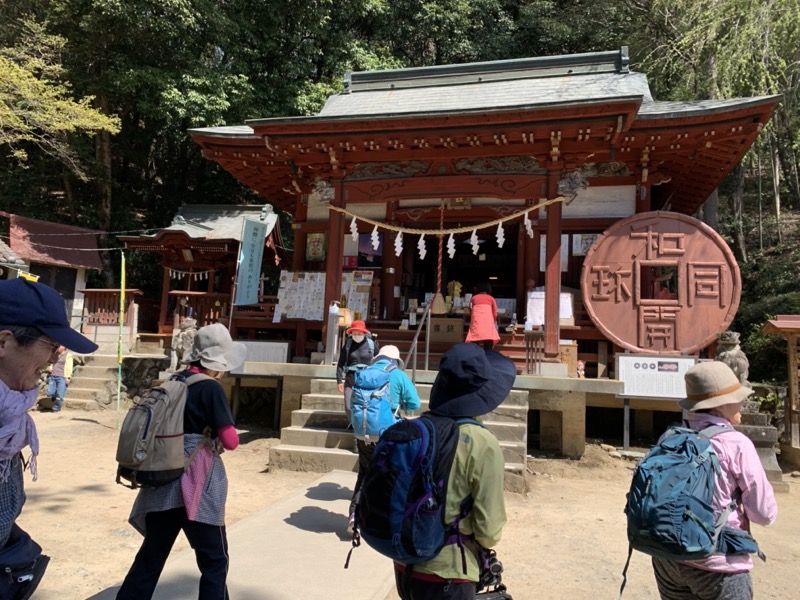 箕山、美の山