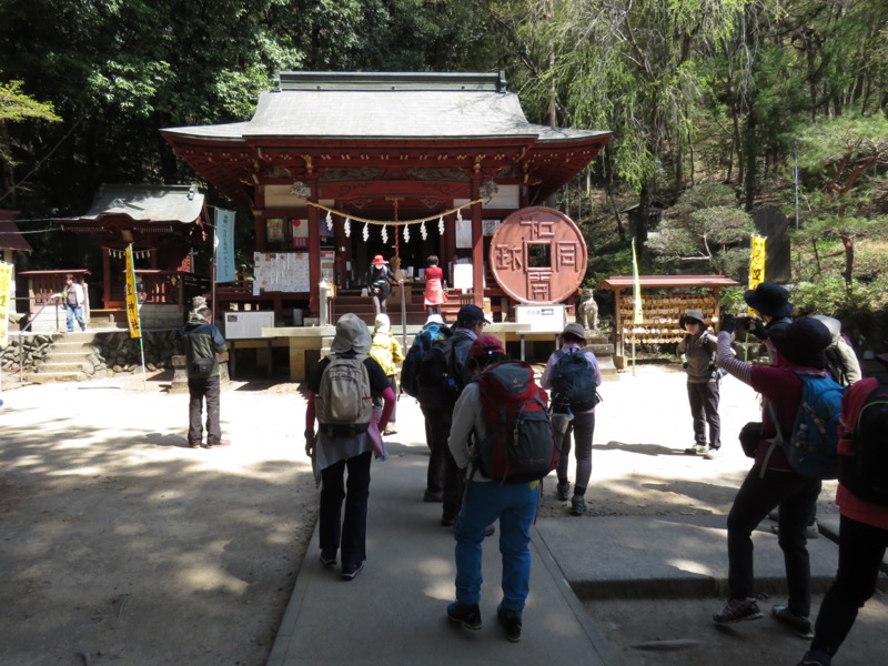 箕山、美の山