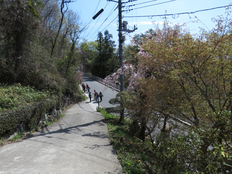 箕山、美の山