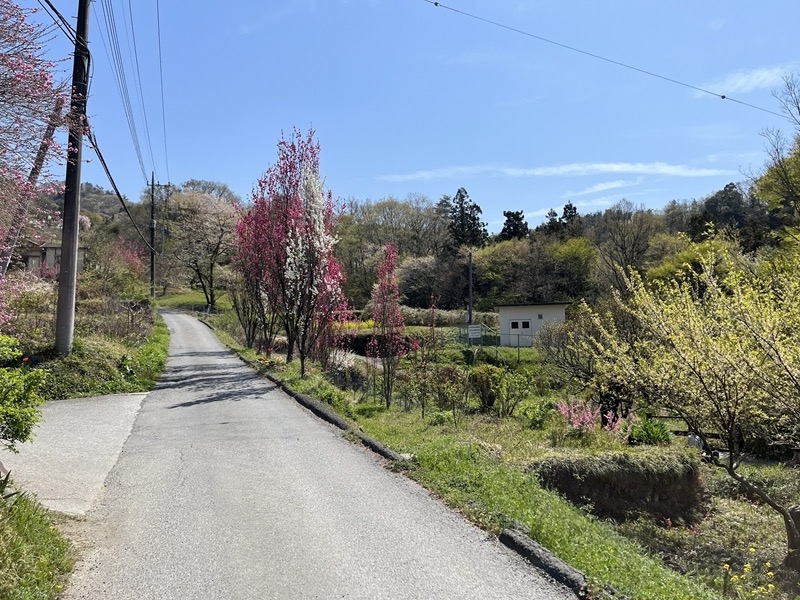 箕山、美の山