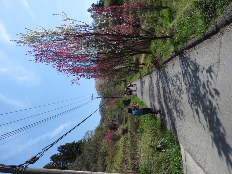 箕山、美の山