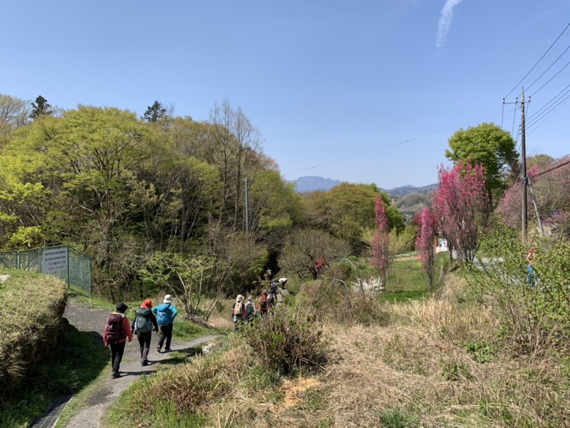 箕山、美の山