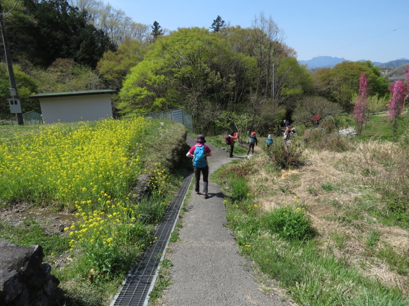 箕山、美の山