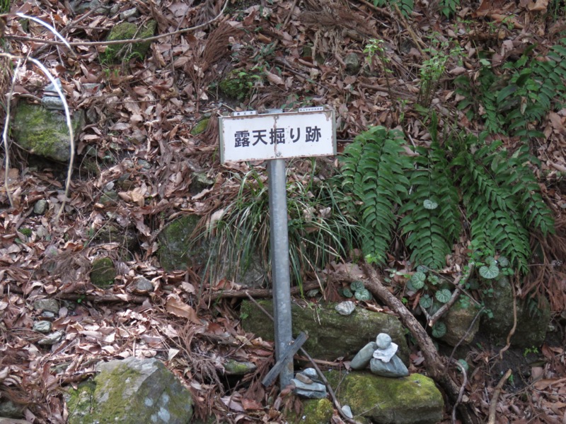 箕山、美の山