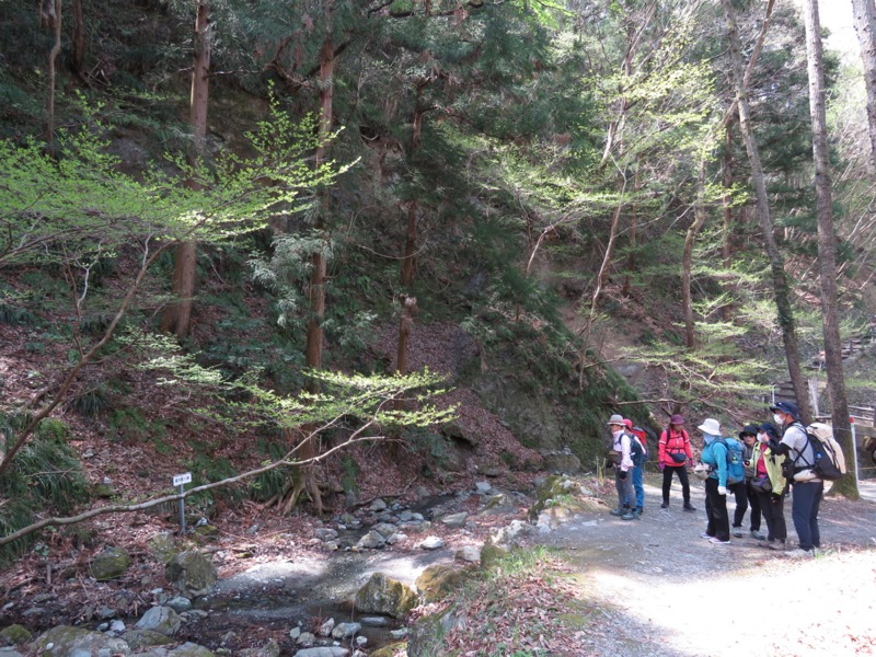 箕山、美の山