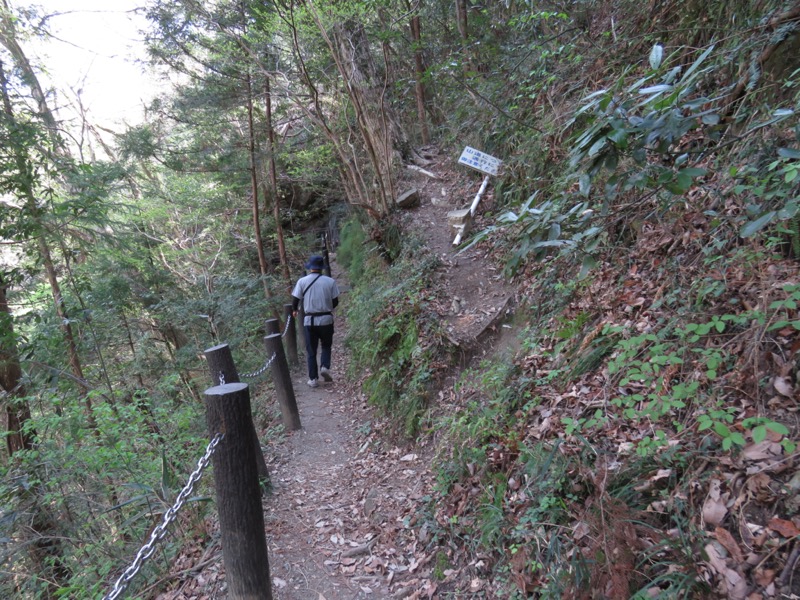 箕山、美の山