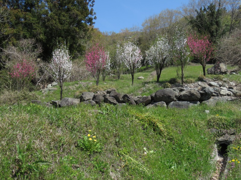 箕山、美の山