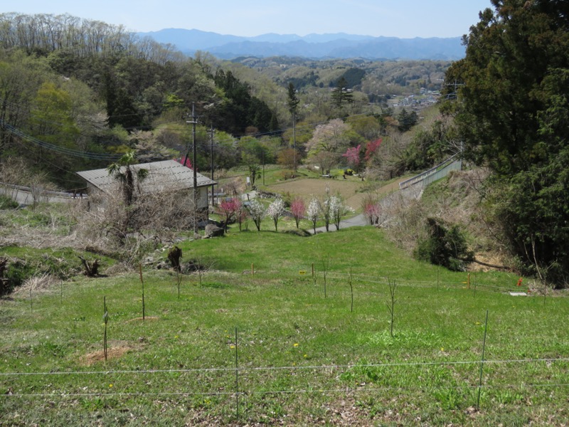 箕山、美の山