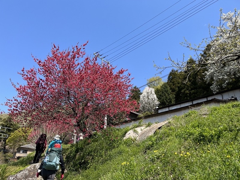 箕山、美の山