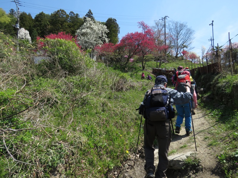 箕山、美の山