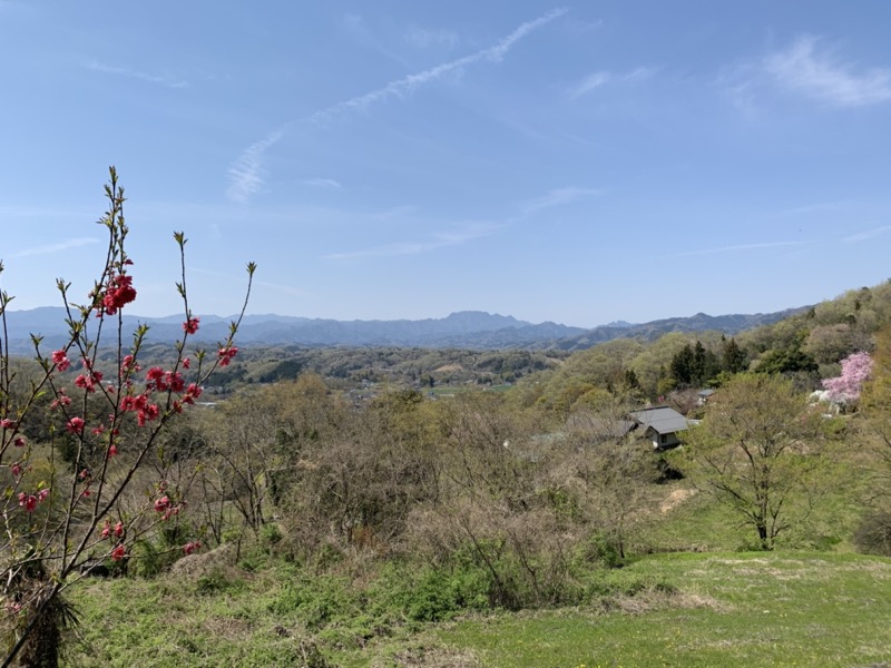 箕山、美の山