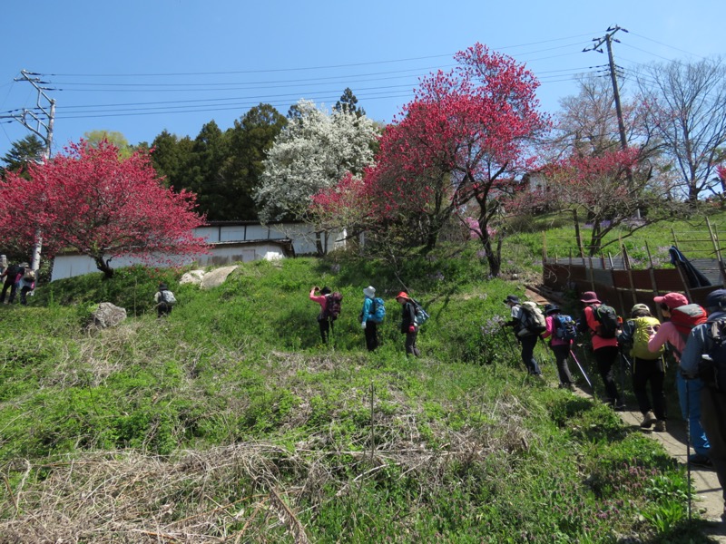 箕山、美の山