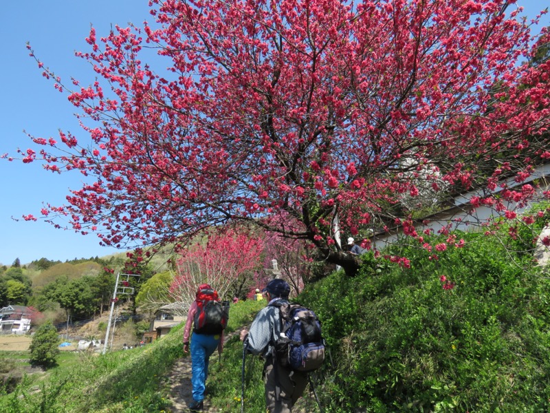 箕山、美の山