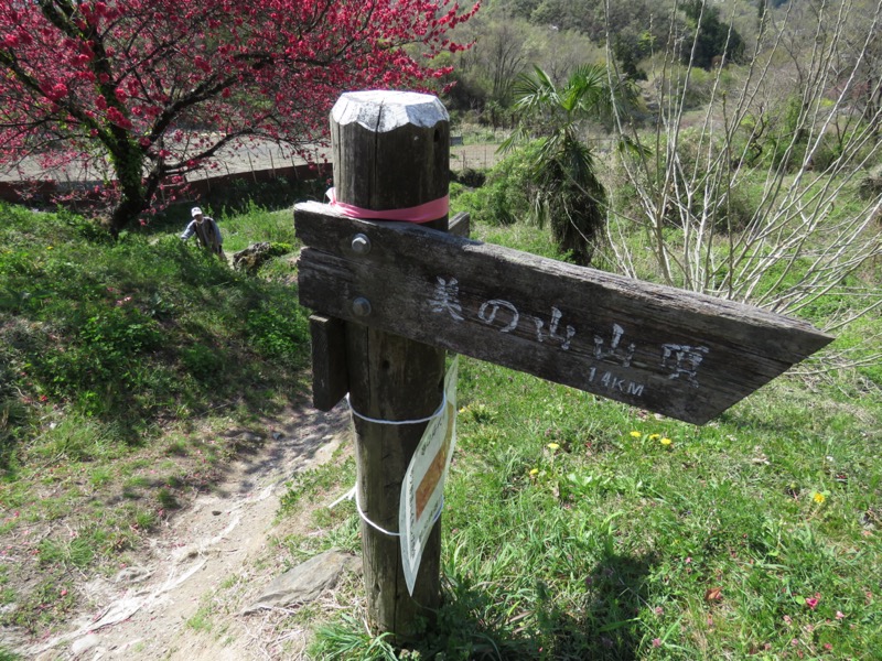 箕山、美の山