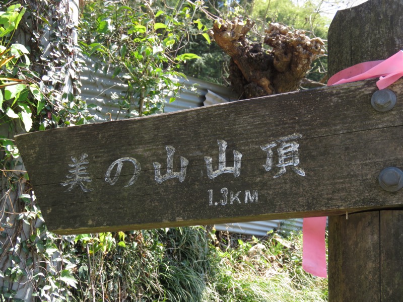 箕山、美の山