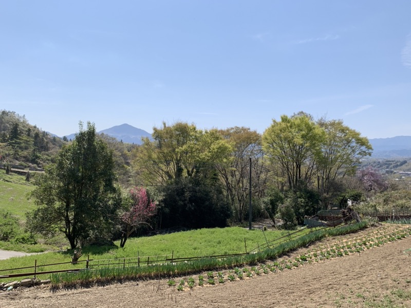 箕山、美の山