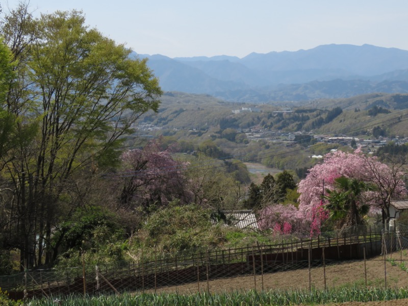 箕山、美の山