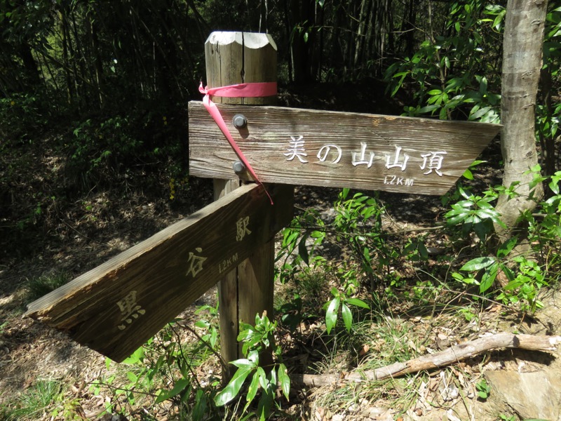 箕山、美の山