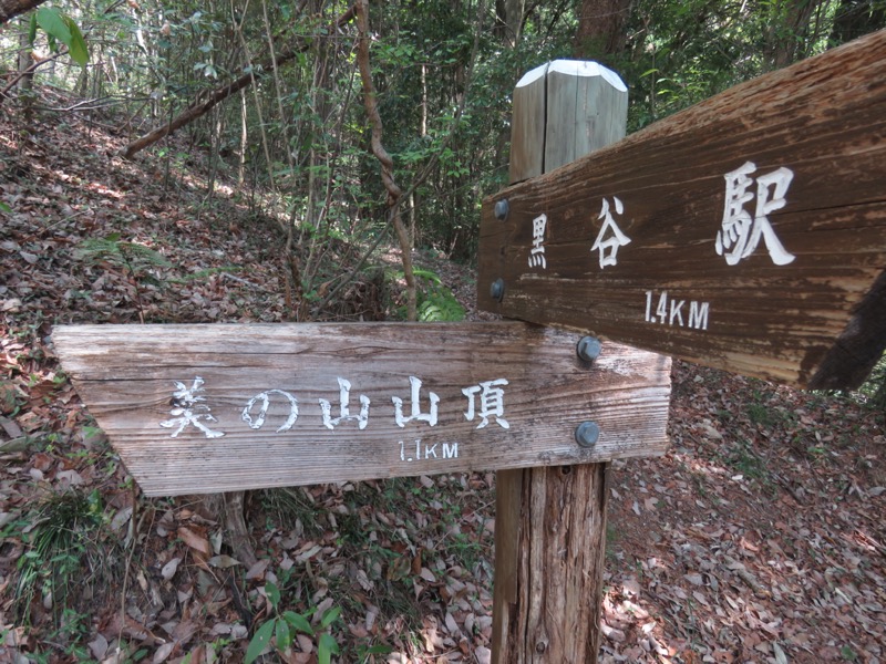 箕山、美の山