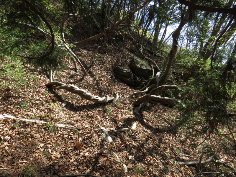 箕山、美の山