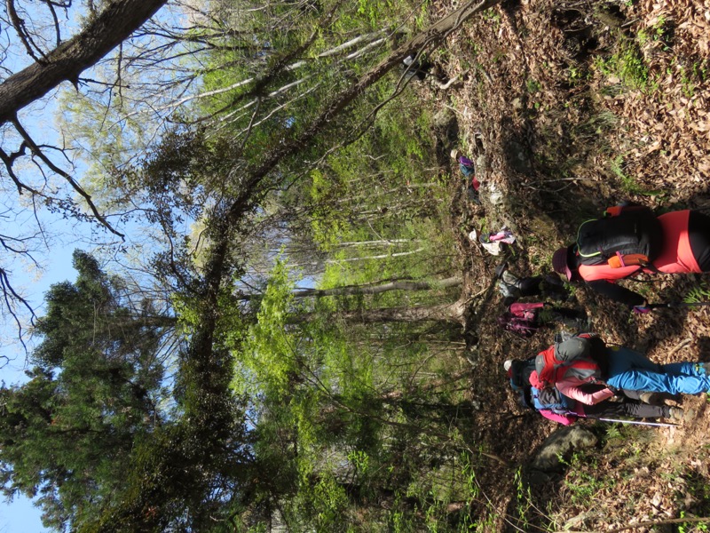 箕山、美の山