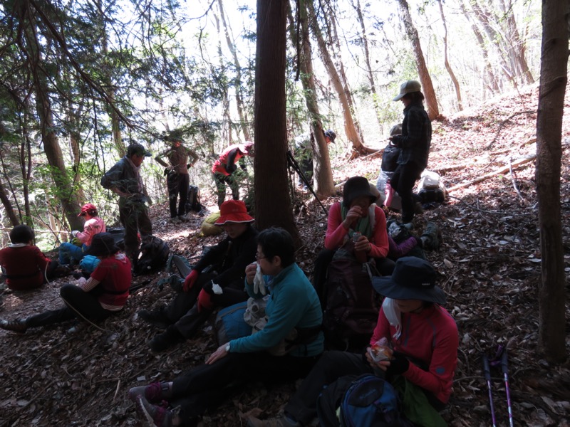 箕山、美の山