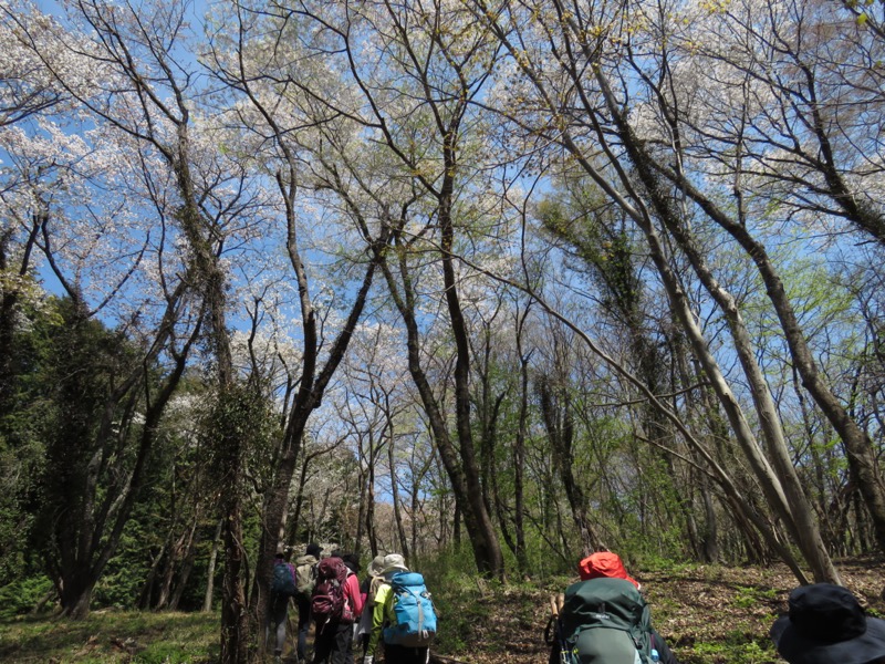 箕山、美の山