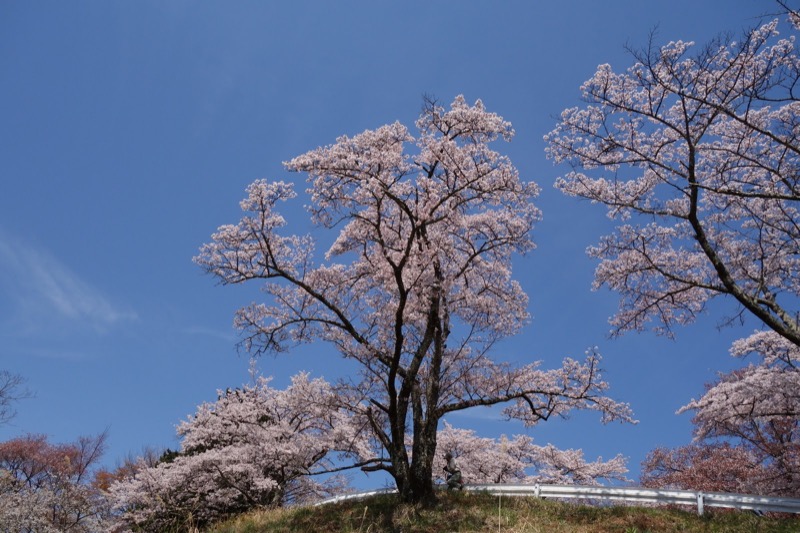 箕山、美の山