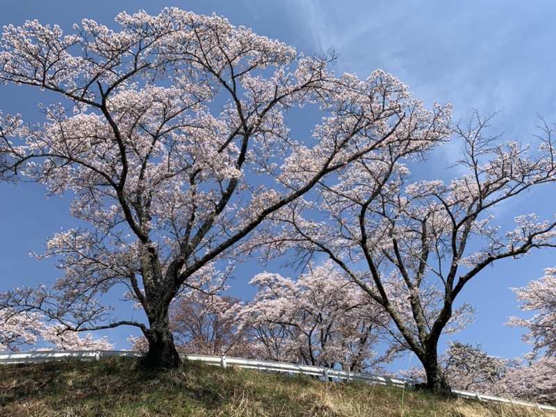 箕山、美の山