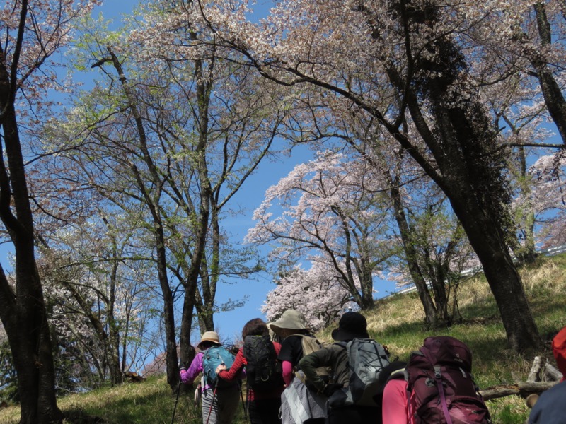 箕山、美の山