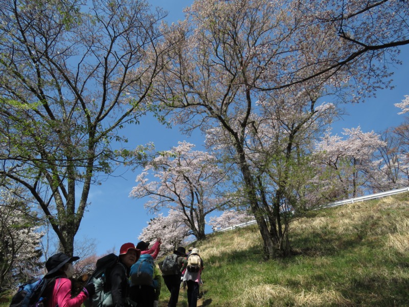 箕山、美の山