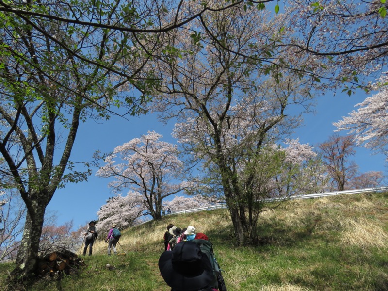 箕山、美の山