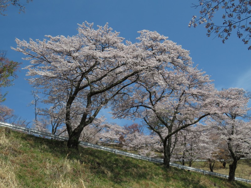 箕山、美の山