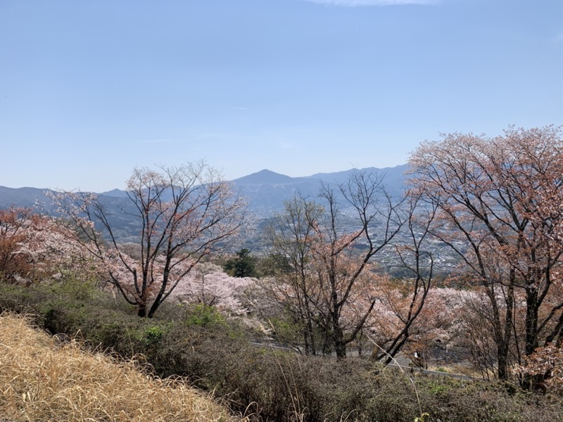 箕山、美の山