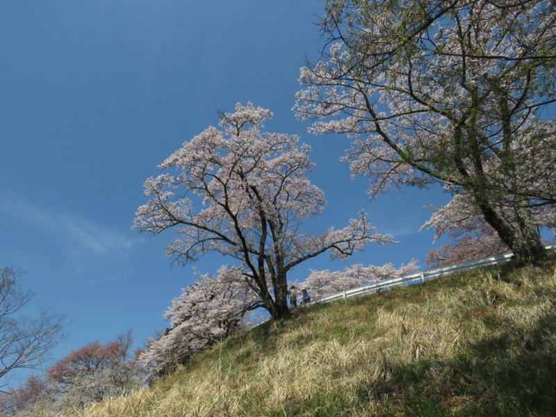 箕山、美の山