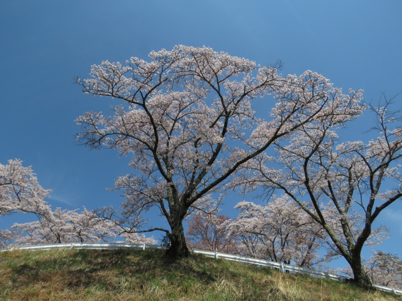 箕山、美の山