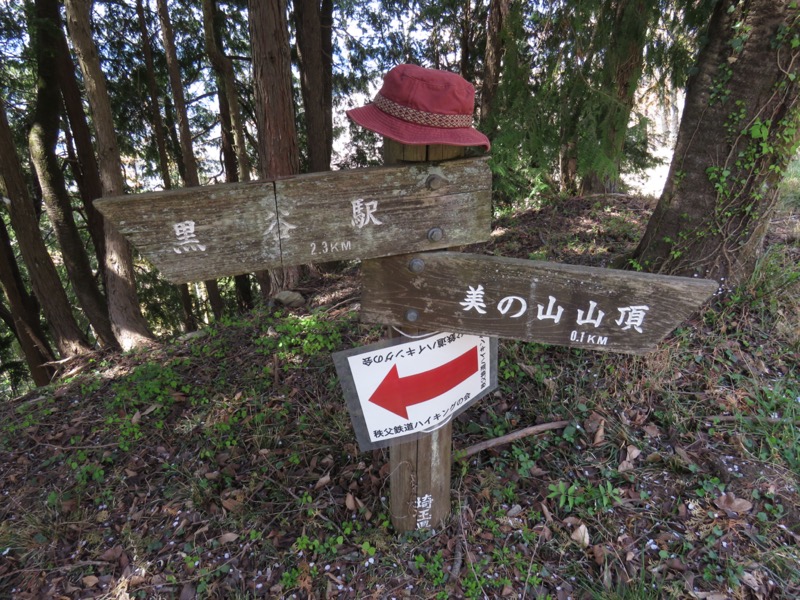 箕山、美の山