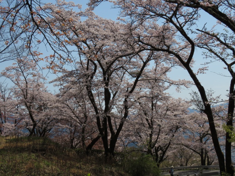 箕山、美の山