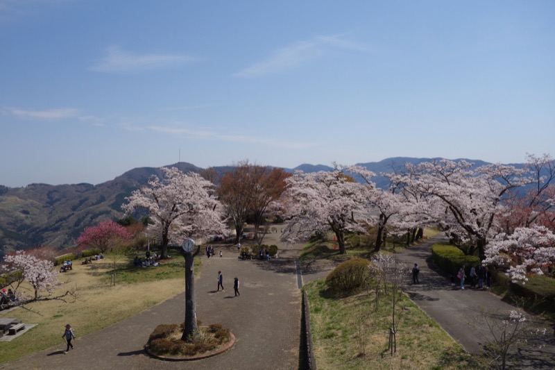 箕山、美の山