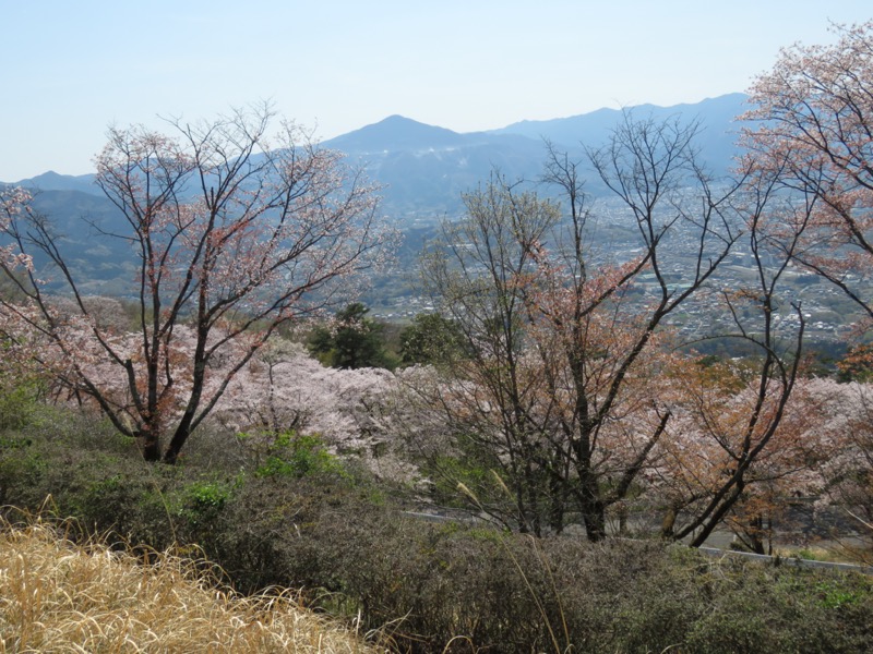 箕山、美の山