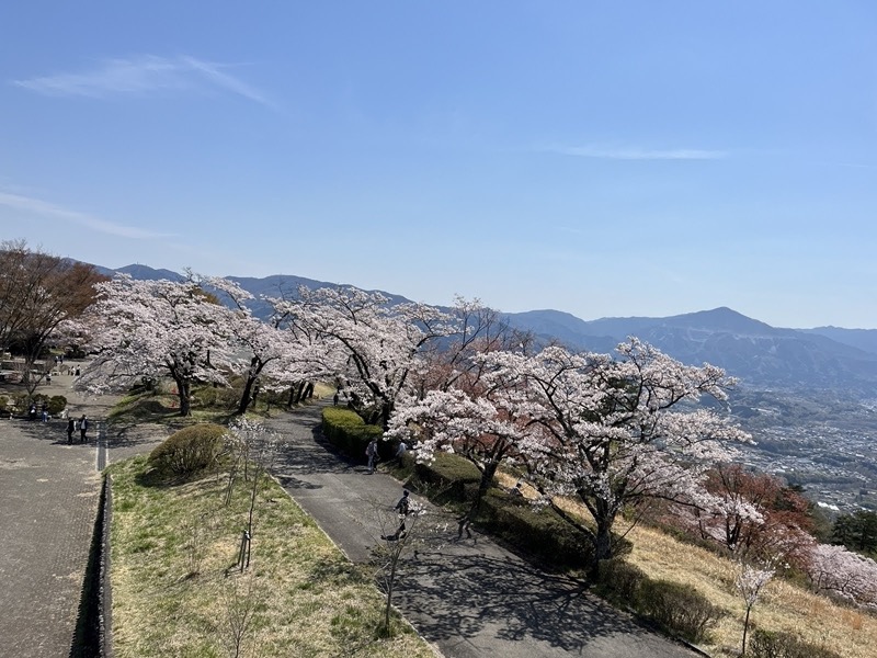 箕山、美の山